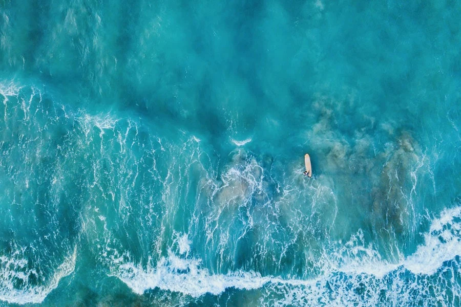 Surfen 