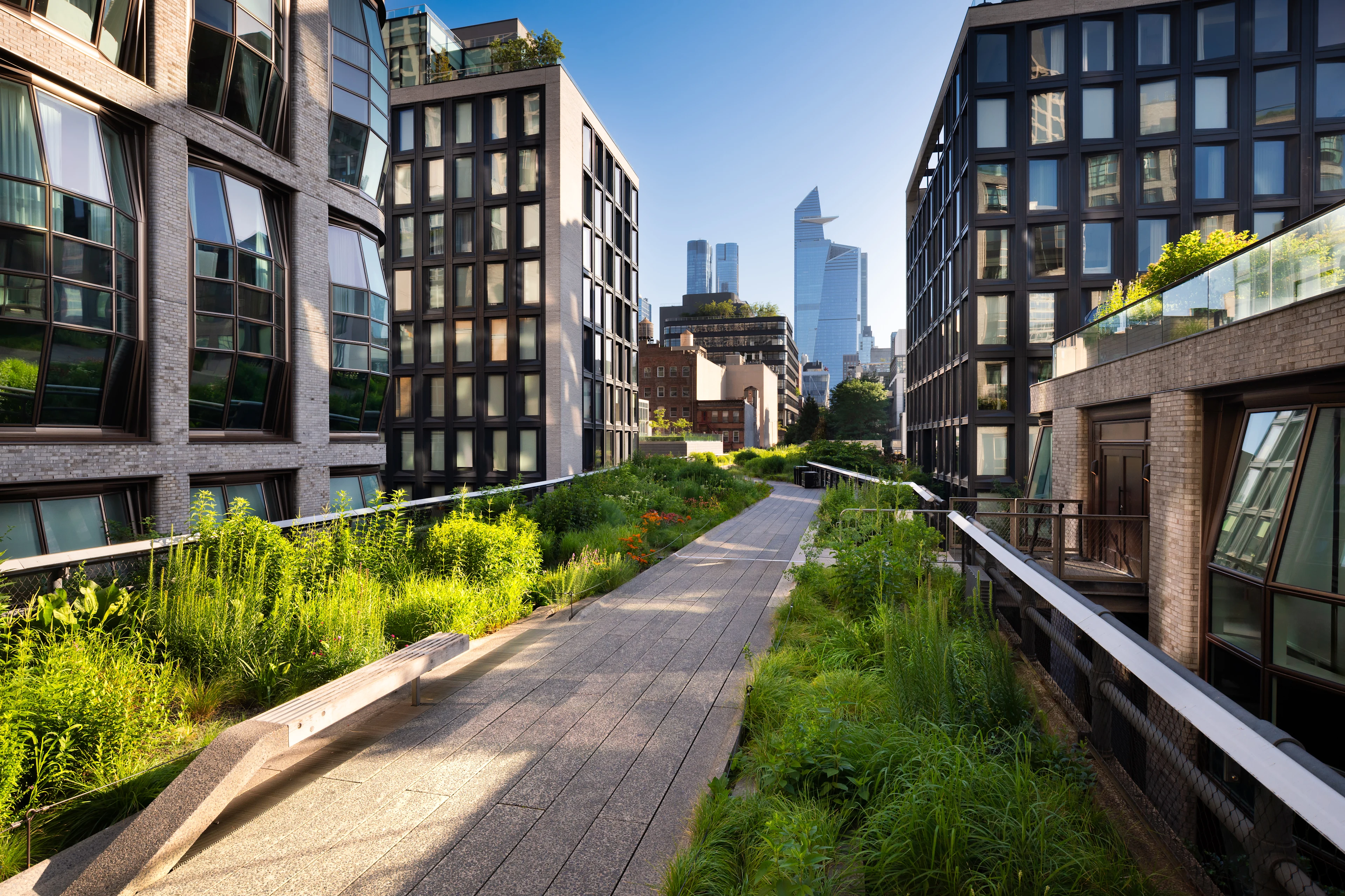 The High Line i New York med grönskande planteringar, gångväg och moderna byggnader i Meatpacking District.
