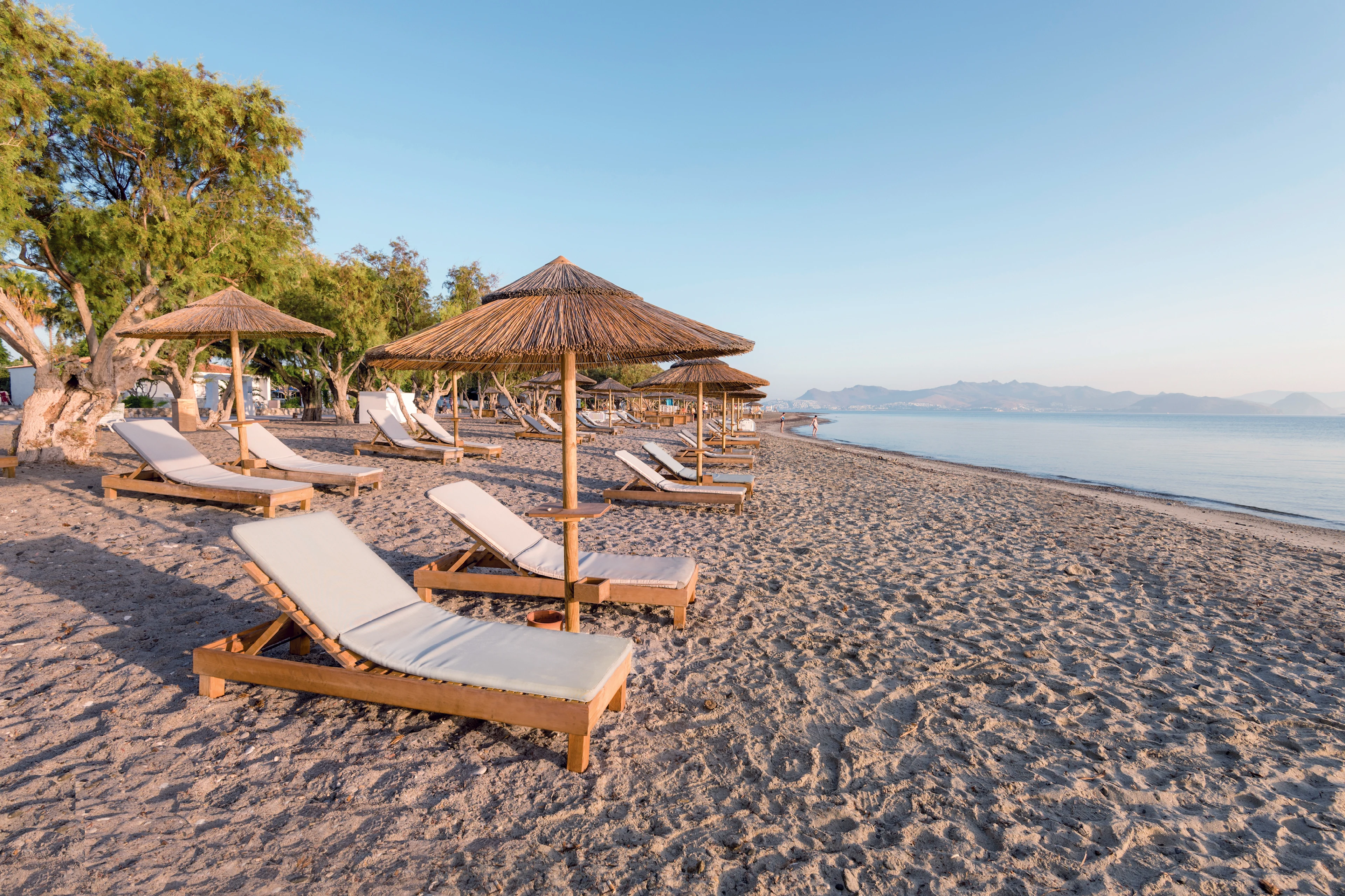 solstolar på en strand på Kos