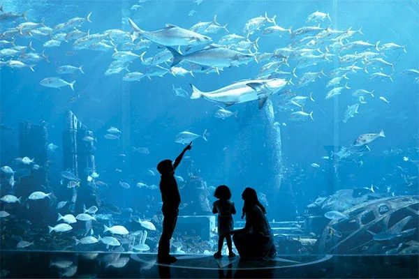 dubai aquarium