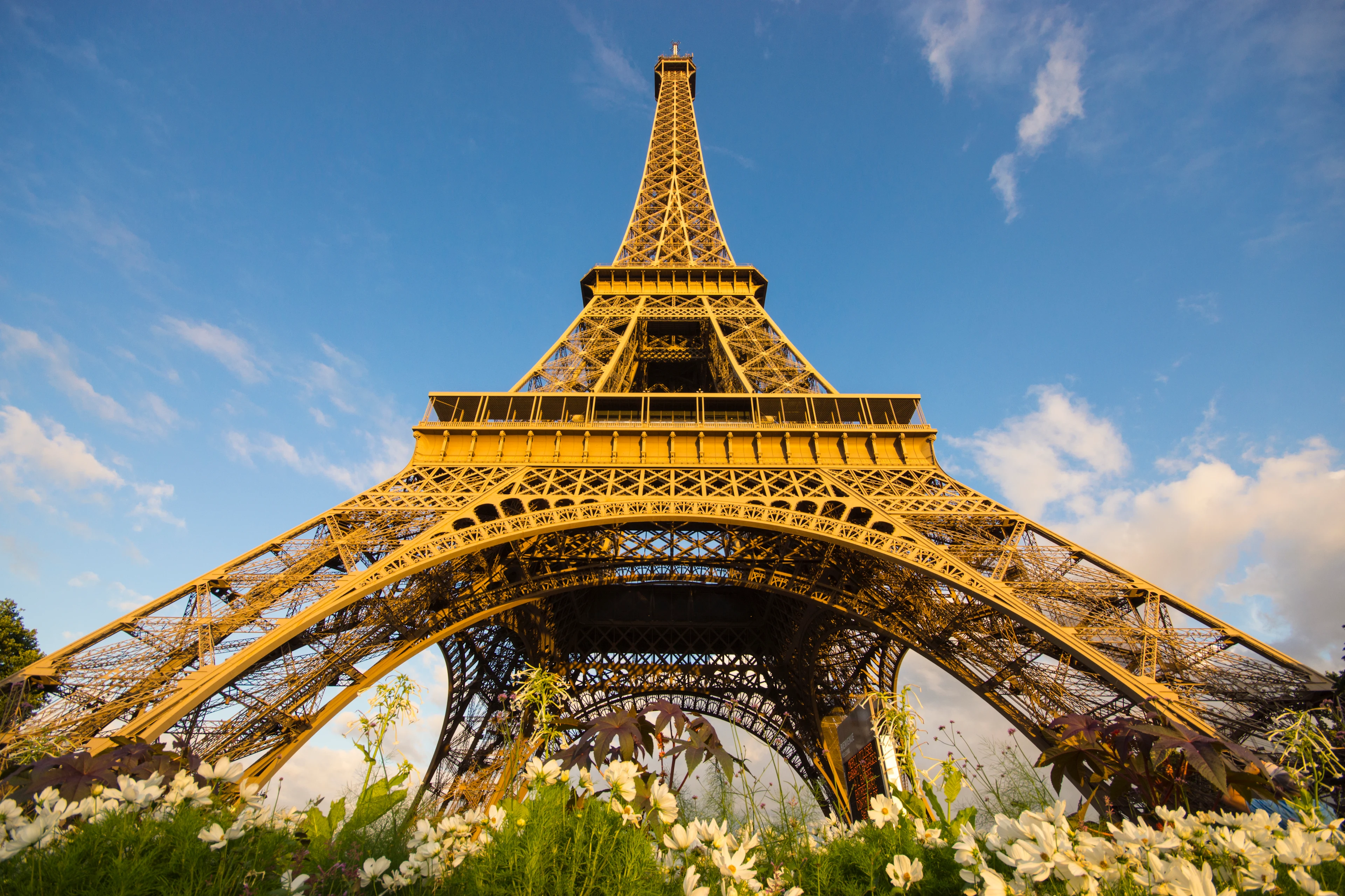 Eiffeltornet i solnedgången