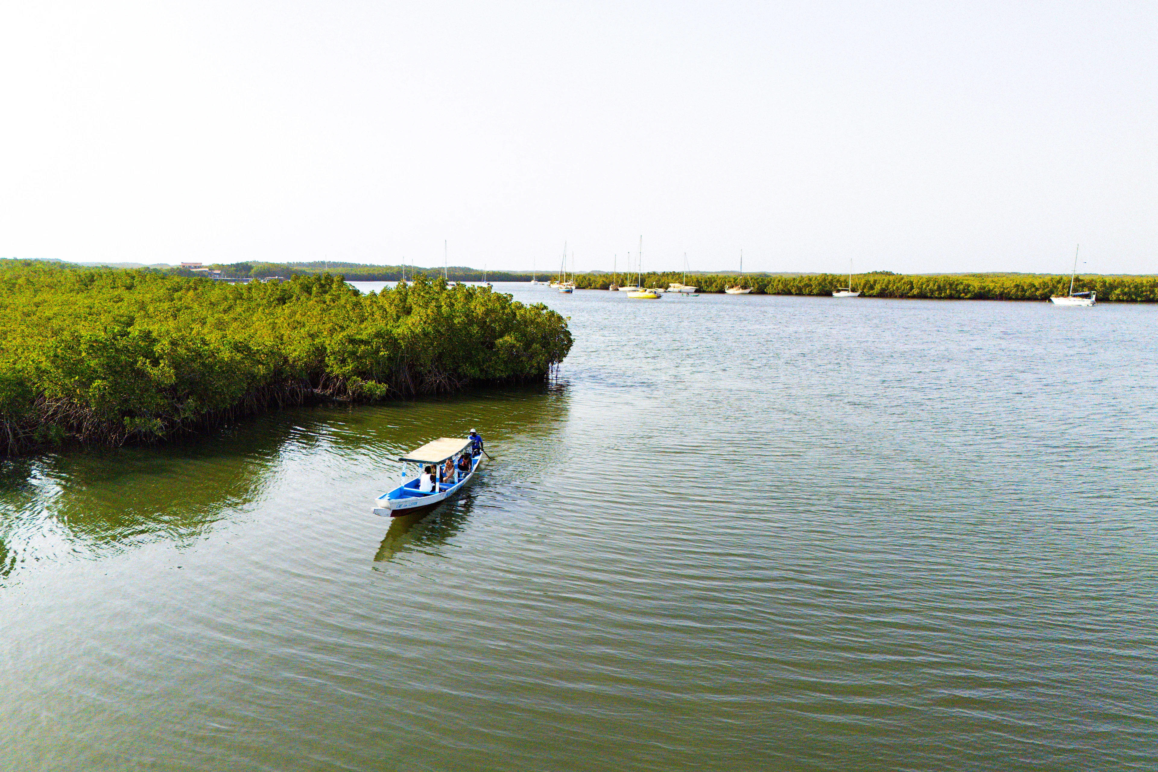 Udsigt over floden og mangrovesumpene i Gambia