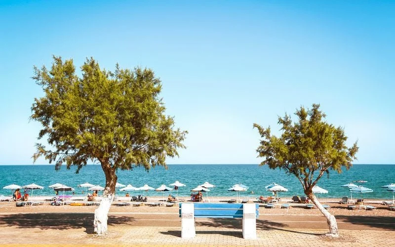 afandou ja colymbia