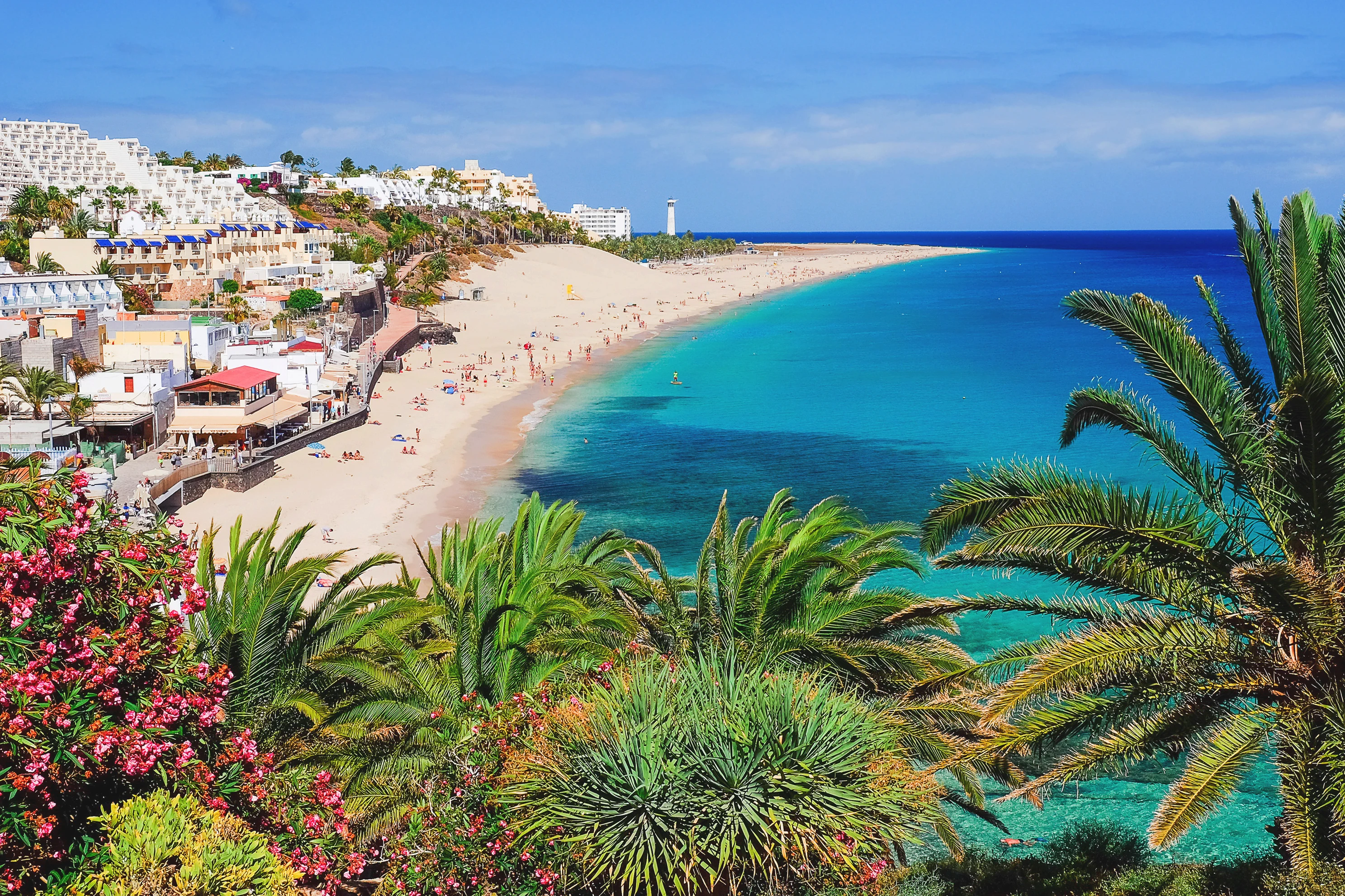 Palmer, lang sandstrand og turkisblåt vand i byen Morro Jable på Fuerteventura.