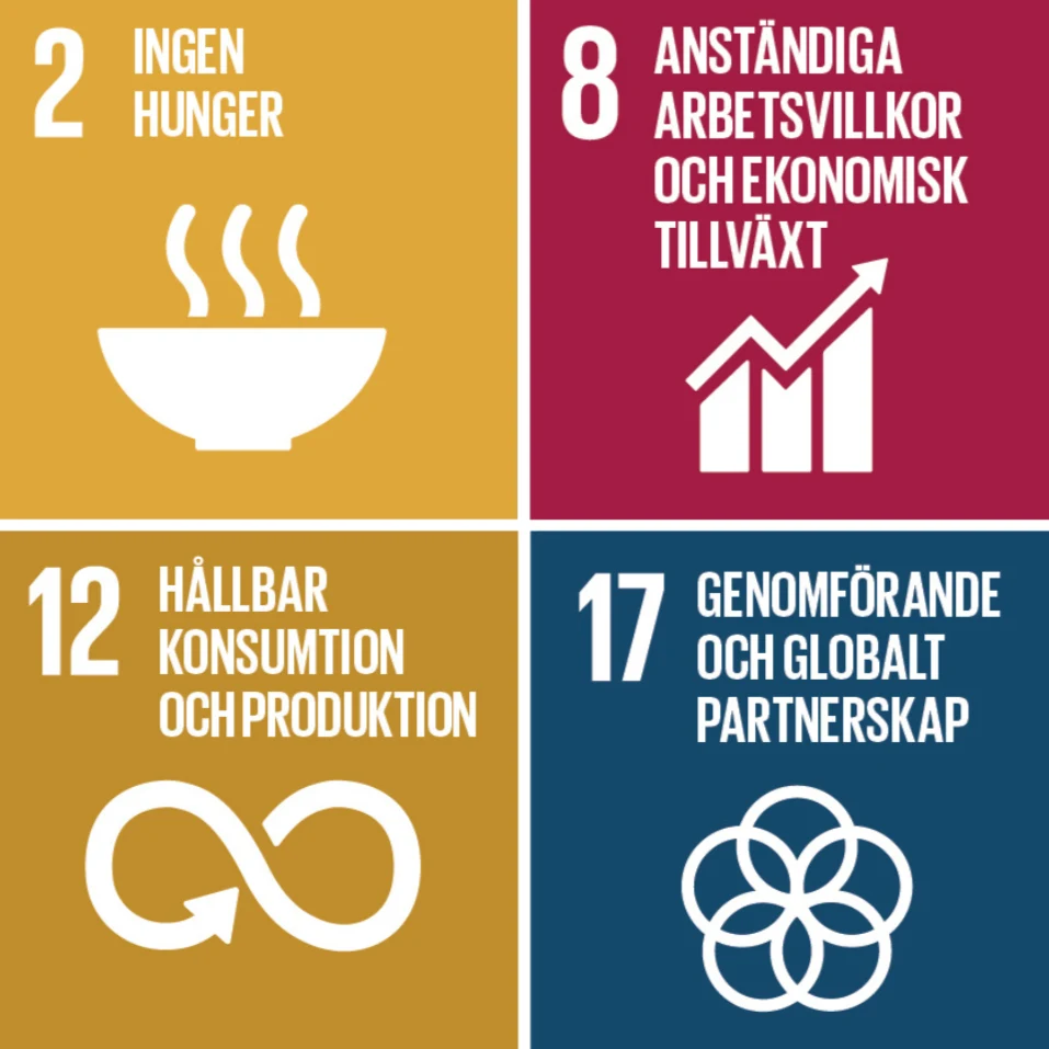 dom globala målen inom hållbarthet