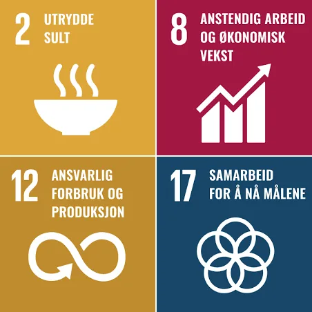 de globale målene innen bærekraft