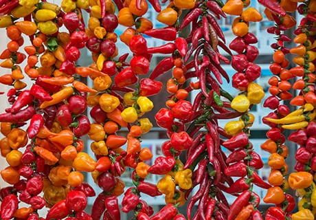 Peppers
