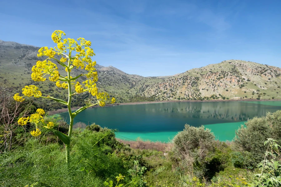 Kourna-sjøen på Kreta