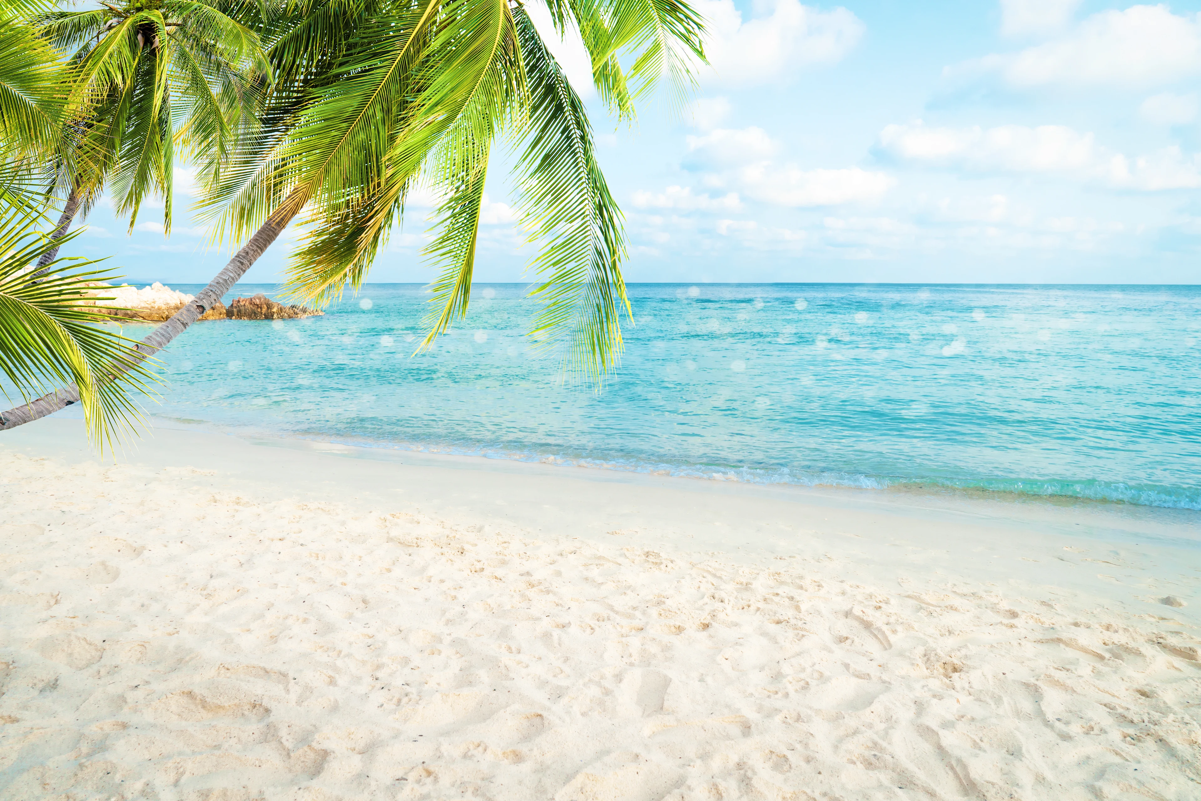 Tropisk strand med vit sand, turkost hav och palmblad i förgrunden.