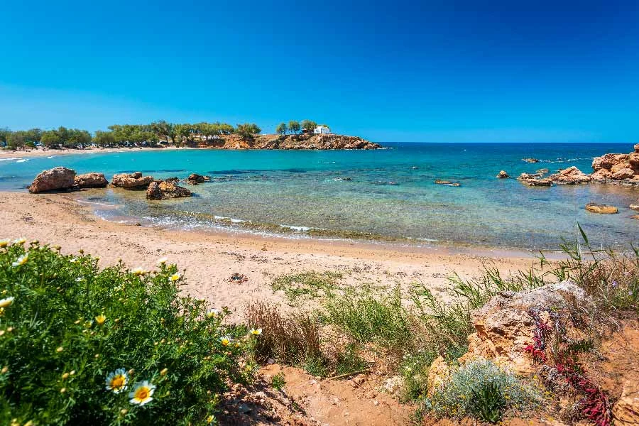 Iguanastrand på Kreta