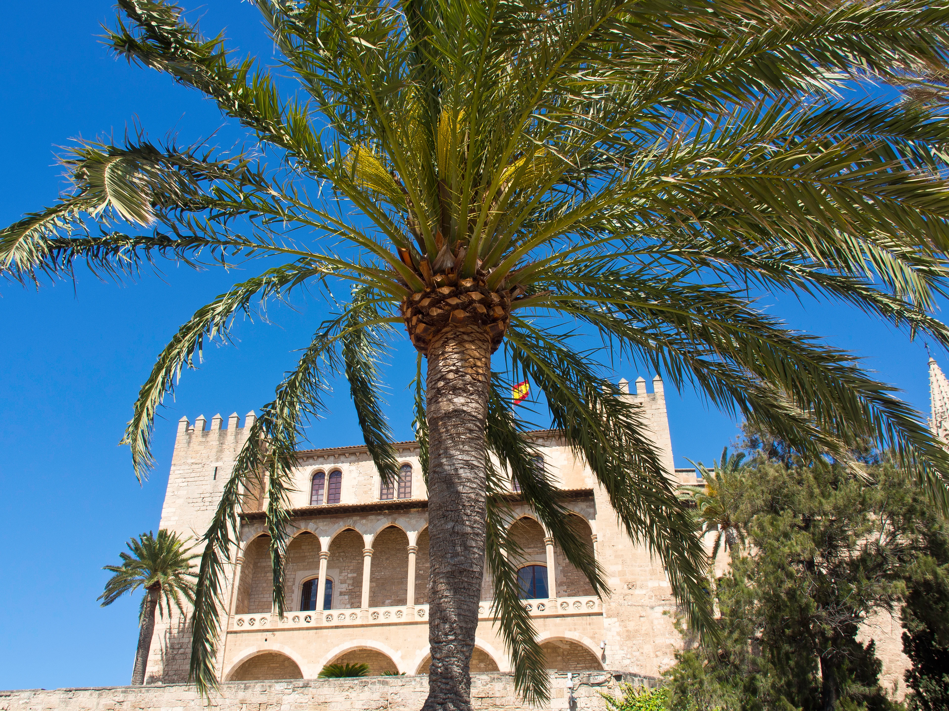 L'Almudaina bag en palme i Palma de Mallorca