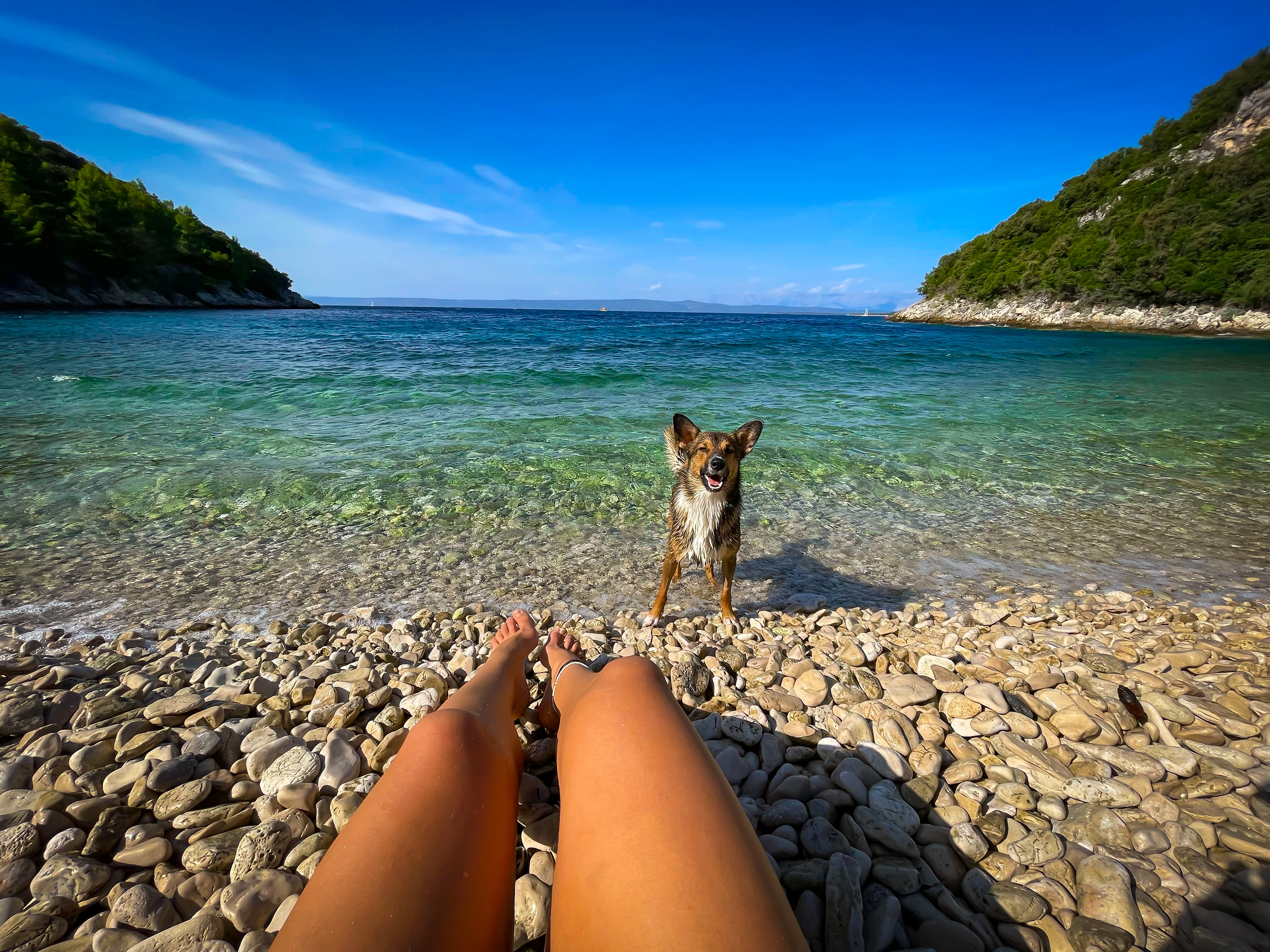 Kvinna sitter på stranden med sin hund i Kroatien