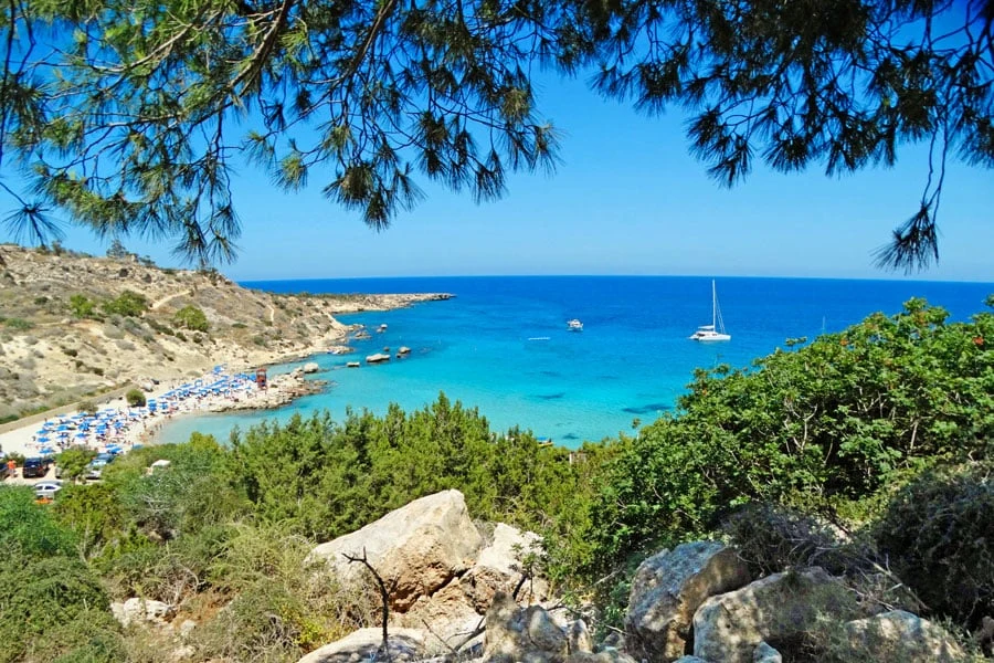 cypern-fig-tree-bay