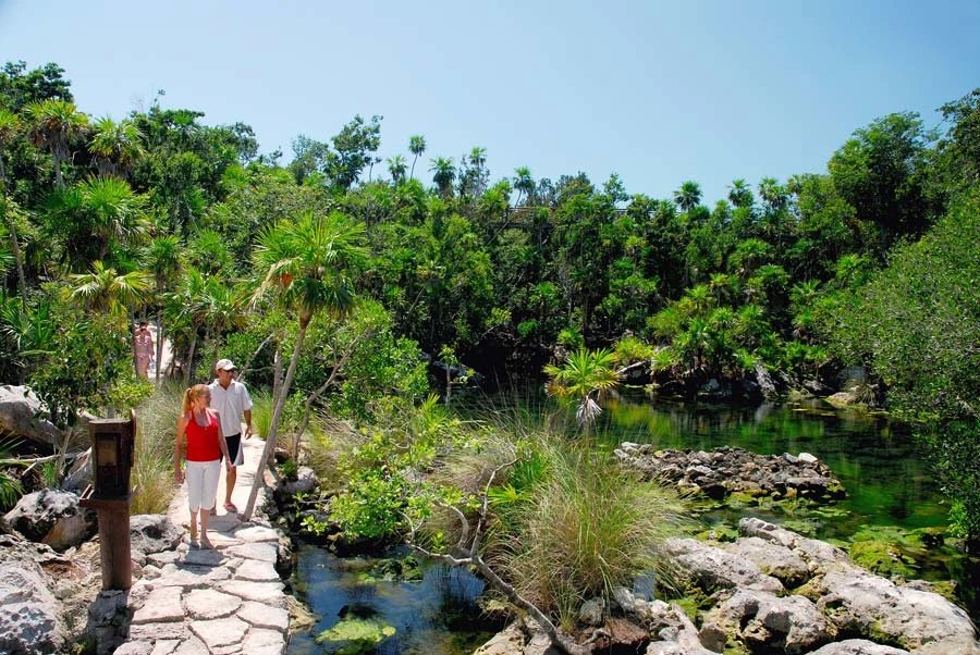 Mexicos natur