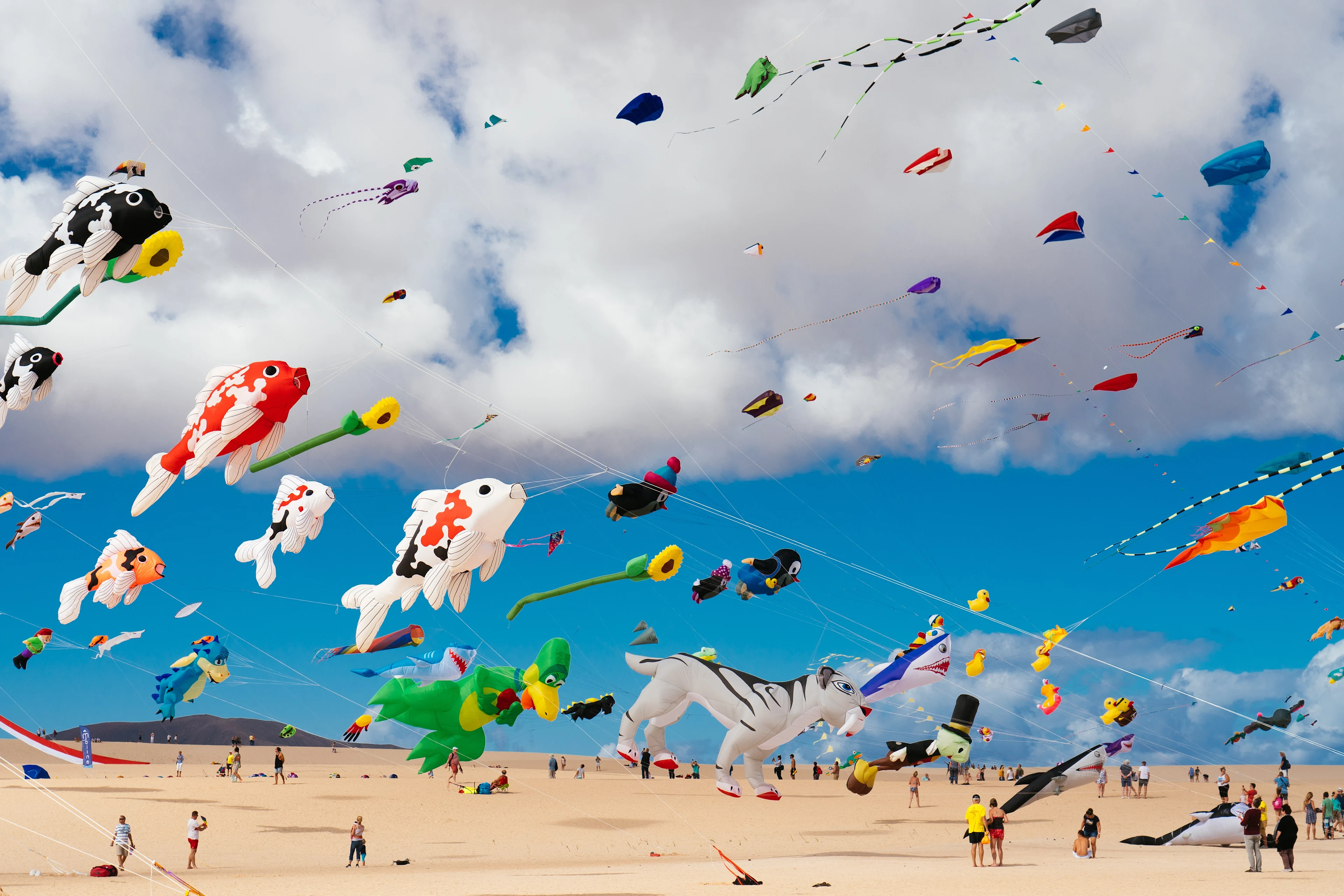 Färgglada drakar svävar högt över sanddynerna under Corralejo Kite Fest