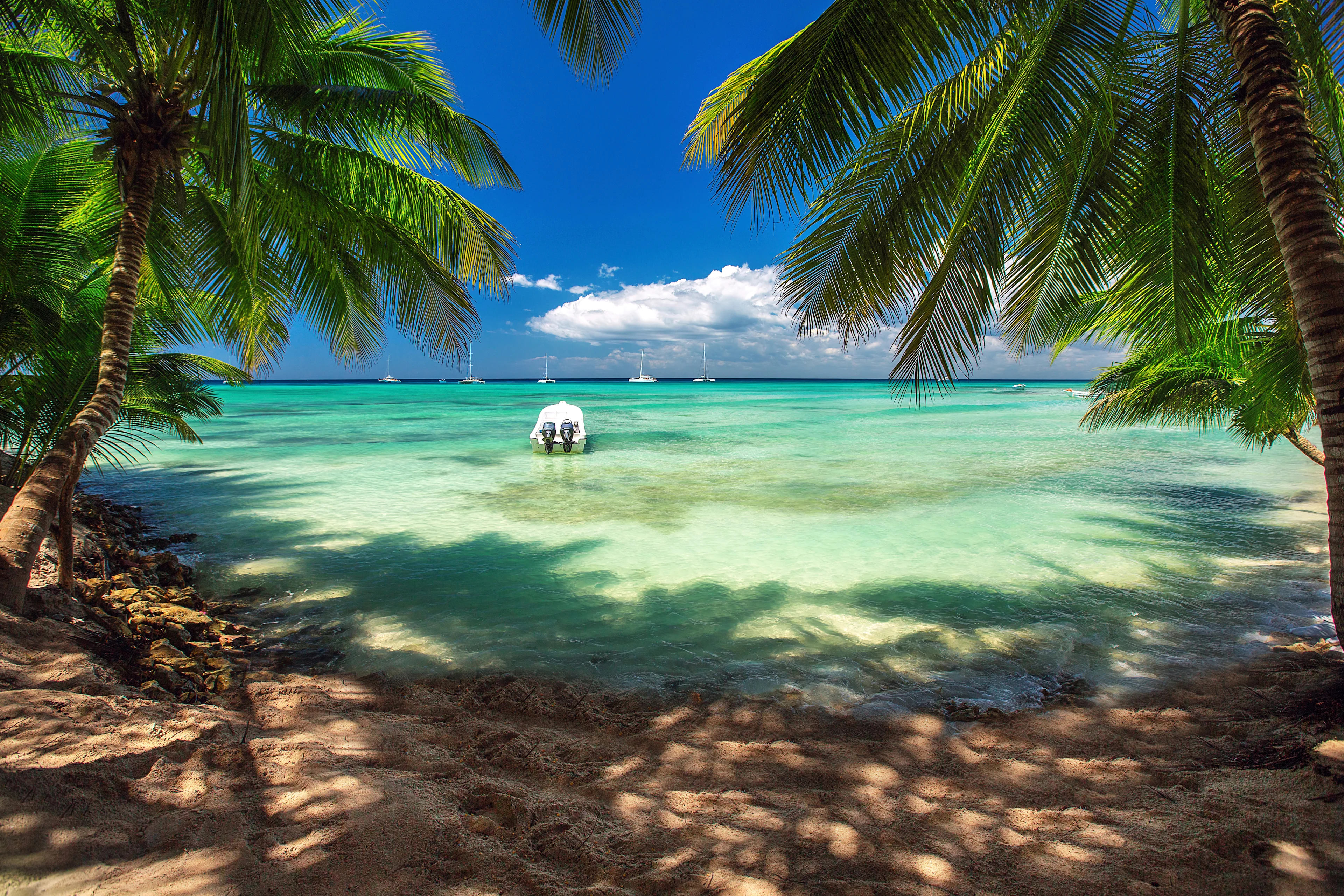 Tropisk strand i Punta Cana där vajande palmer möter turkost vatten och kritvit sand i Karibien