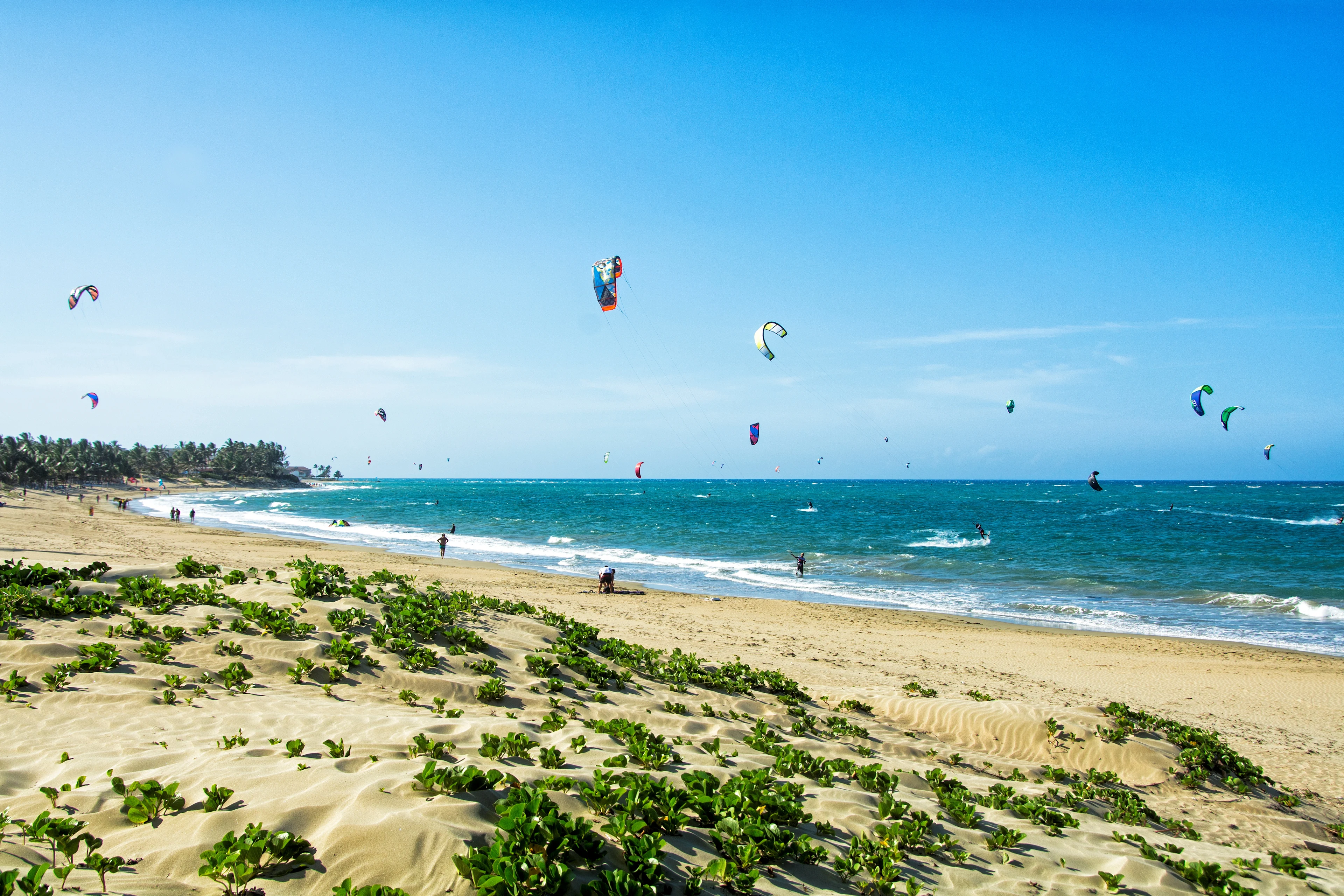 Kitesurfare glider fram över vågorna utanför Cabarete, ett av Karibiens mest populära surfresmål