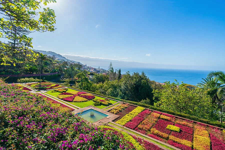 Utsikt över den magnifika botaniska trädgården i Funchal på Madeira