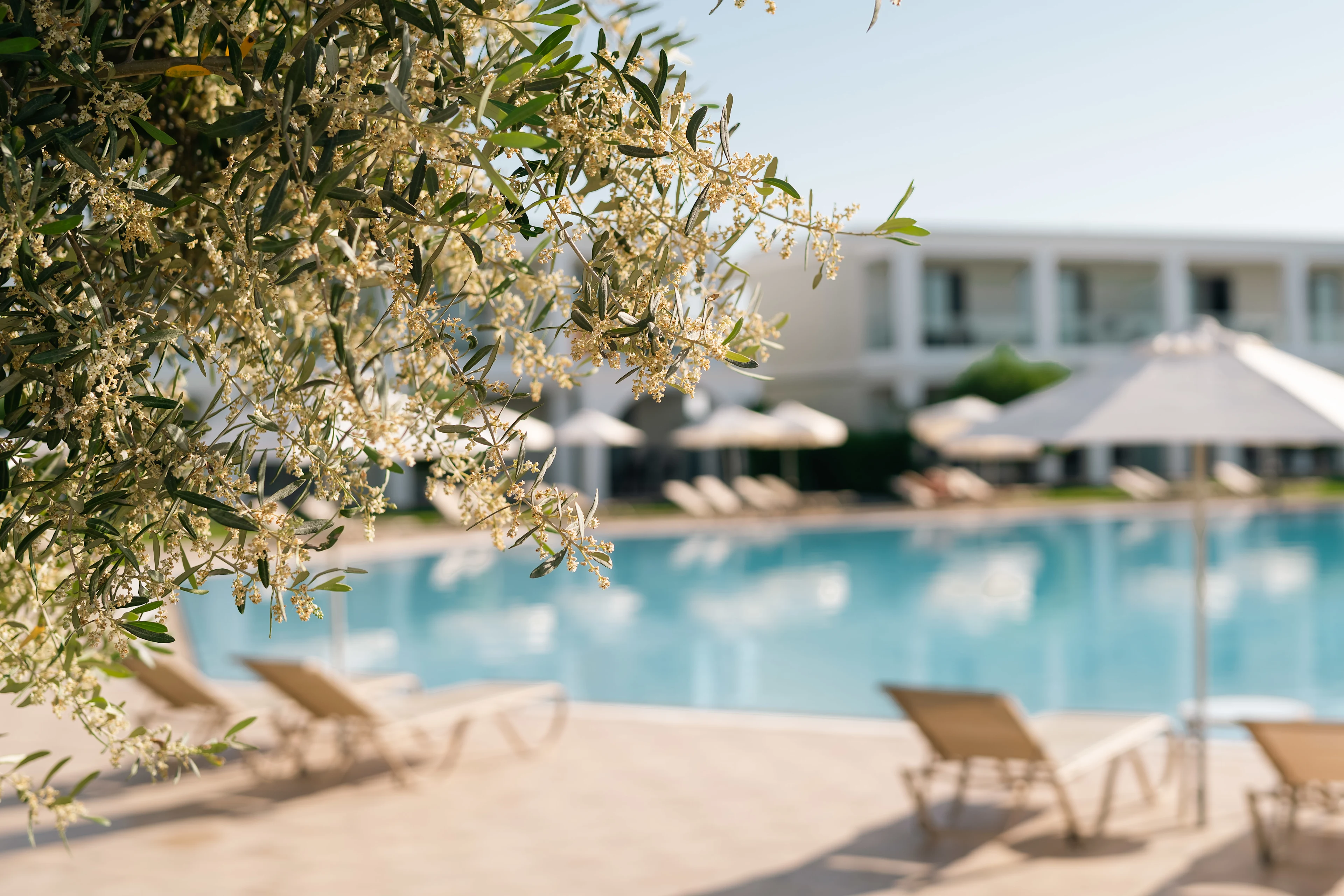 Levante pool