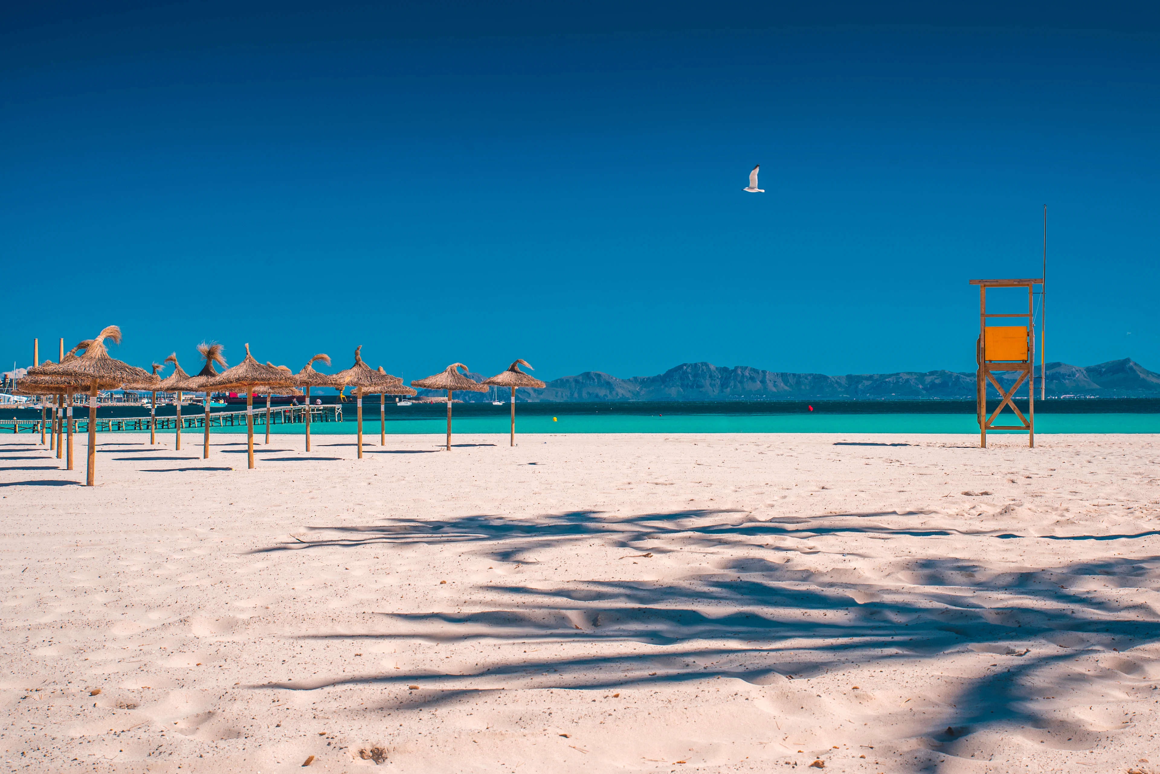 Parasoller vid den kritvita stranden med turkost vatten i Playa de Muro på Mallorca.