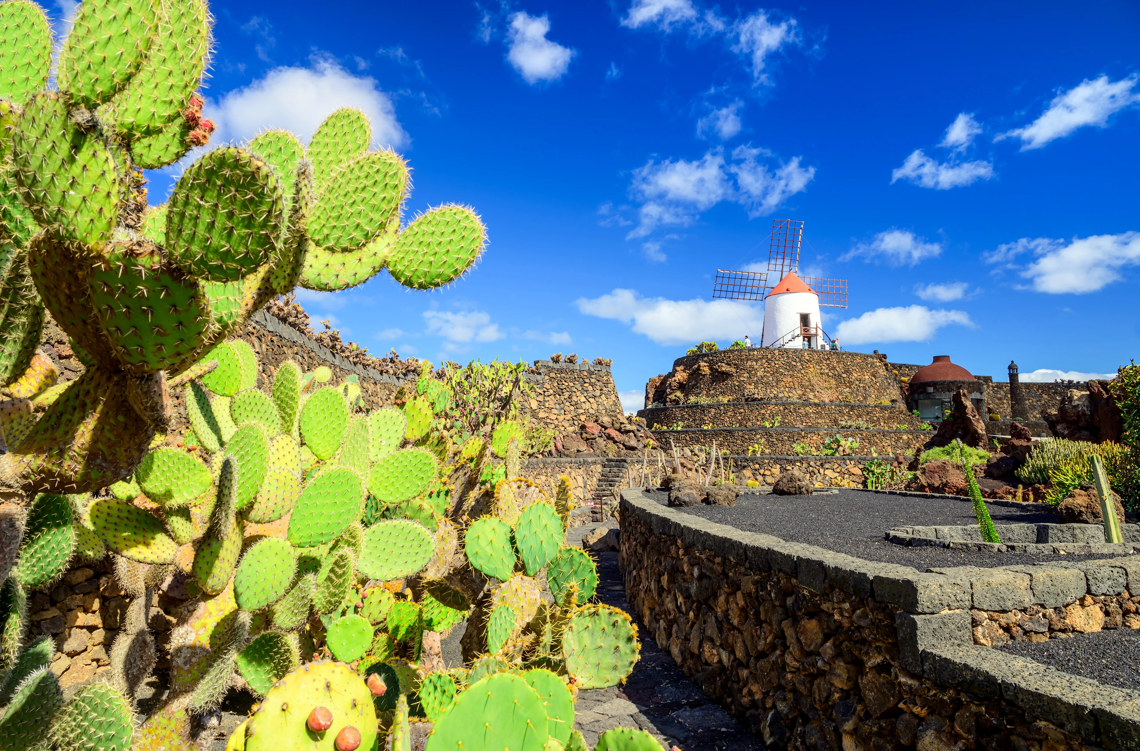 Kaktusar och terrasserade stenmurar i Jardín de Cactus på Lanzarote.
