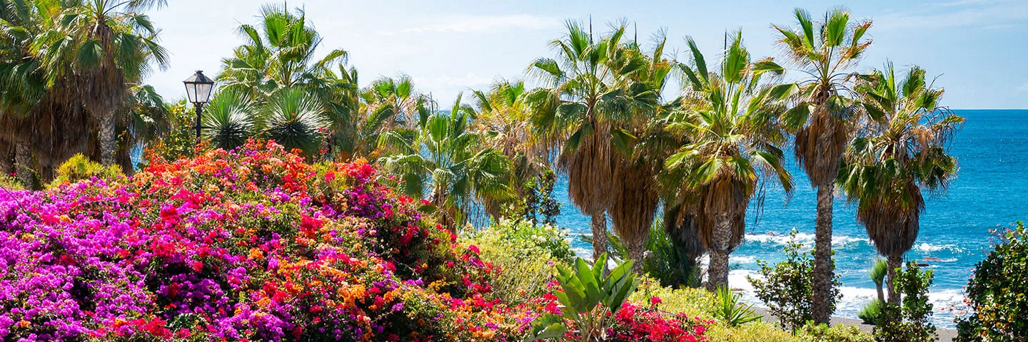 Bloemen en palmbomen