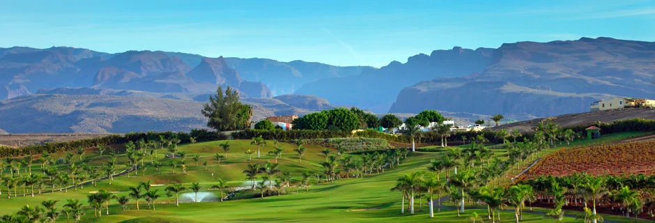 Golfbaan