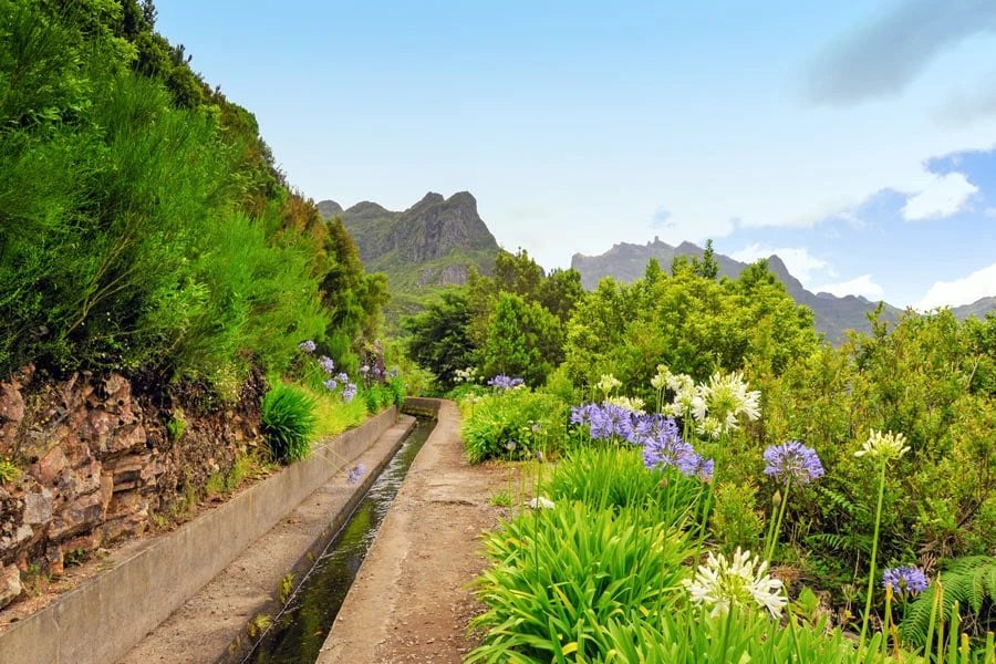 Groene natuur tussen de bergen van Madeira.