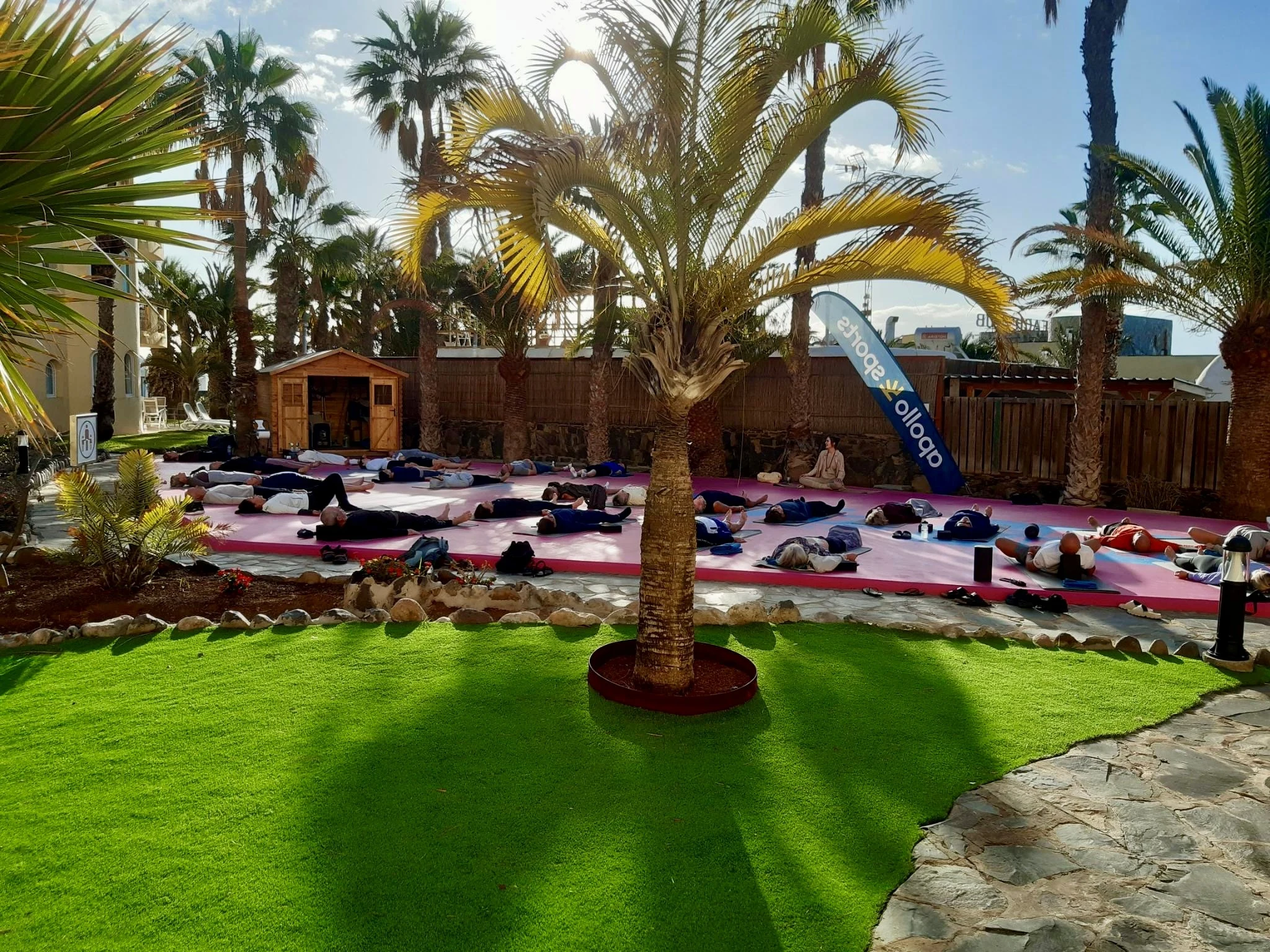 Hagen med palme med den rosa plattformen i bakgrunnen på Monte Feliz – powered by Playitas