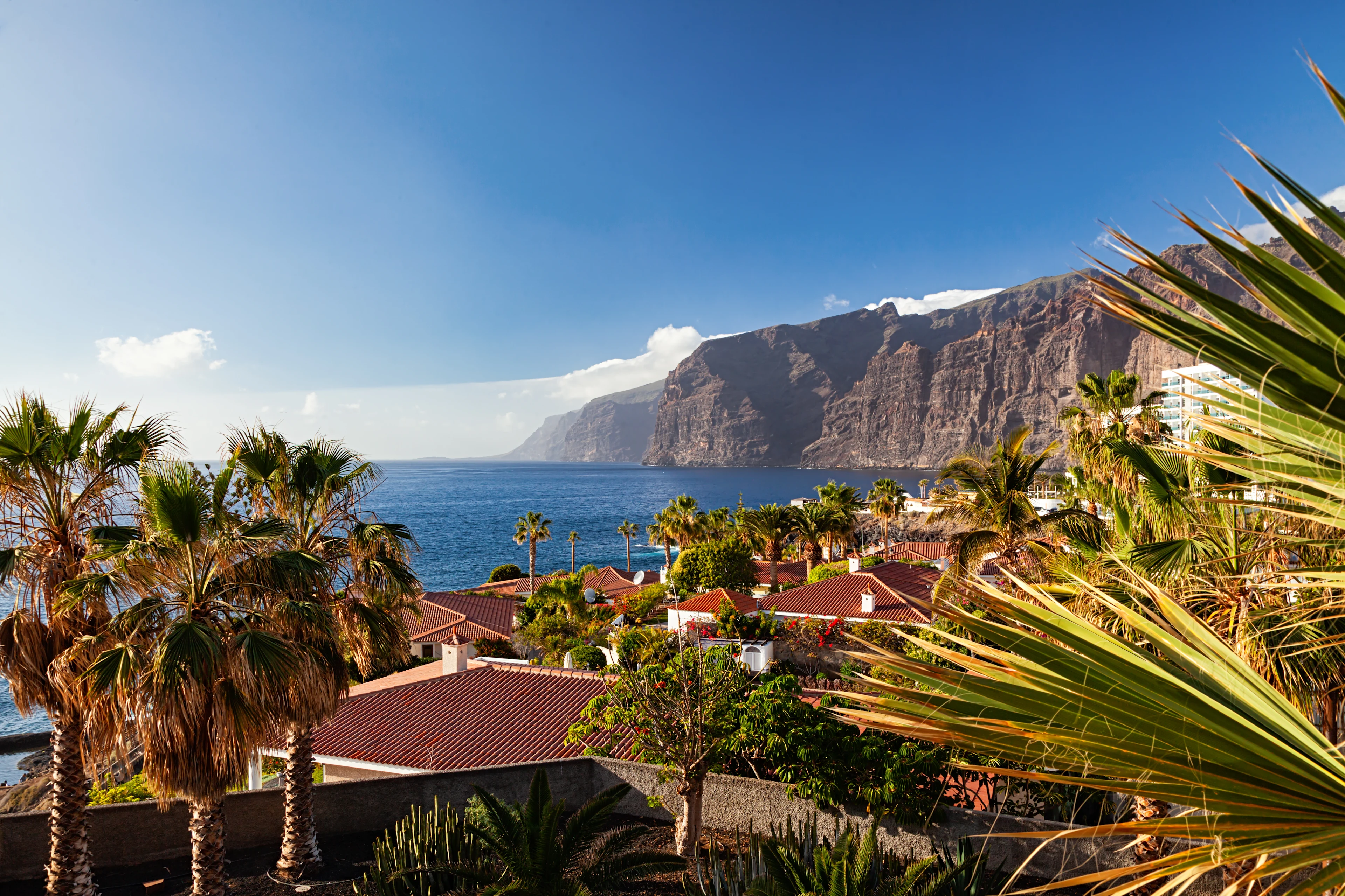 Utsikt över Los Gigantes på Teneriffa med palmkantade kvarter, Atlanten och de mäktiga klipporna som reser sig dramatiskt längs kusten