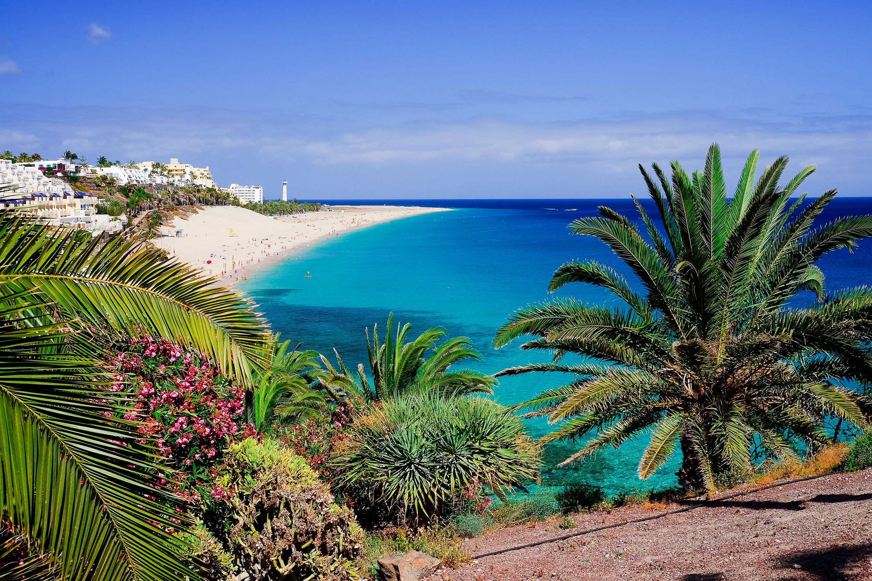 Utsikt över Jandía Beach på Fuerteventura med lång sandstrand och klart vatten