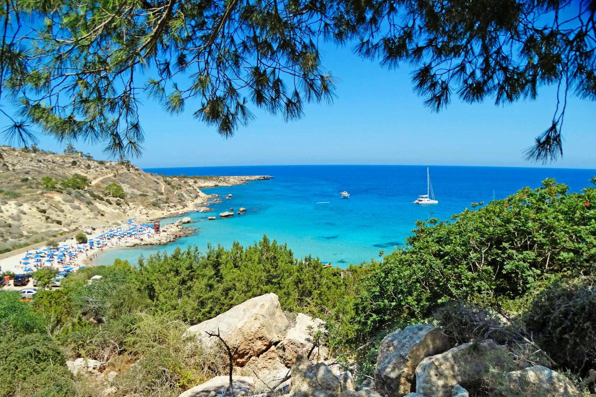 Fig Tree Bay  på Cypern