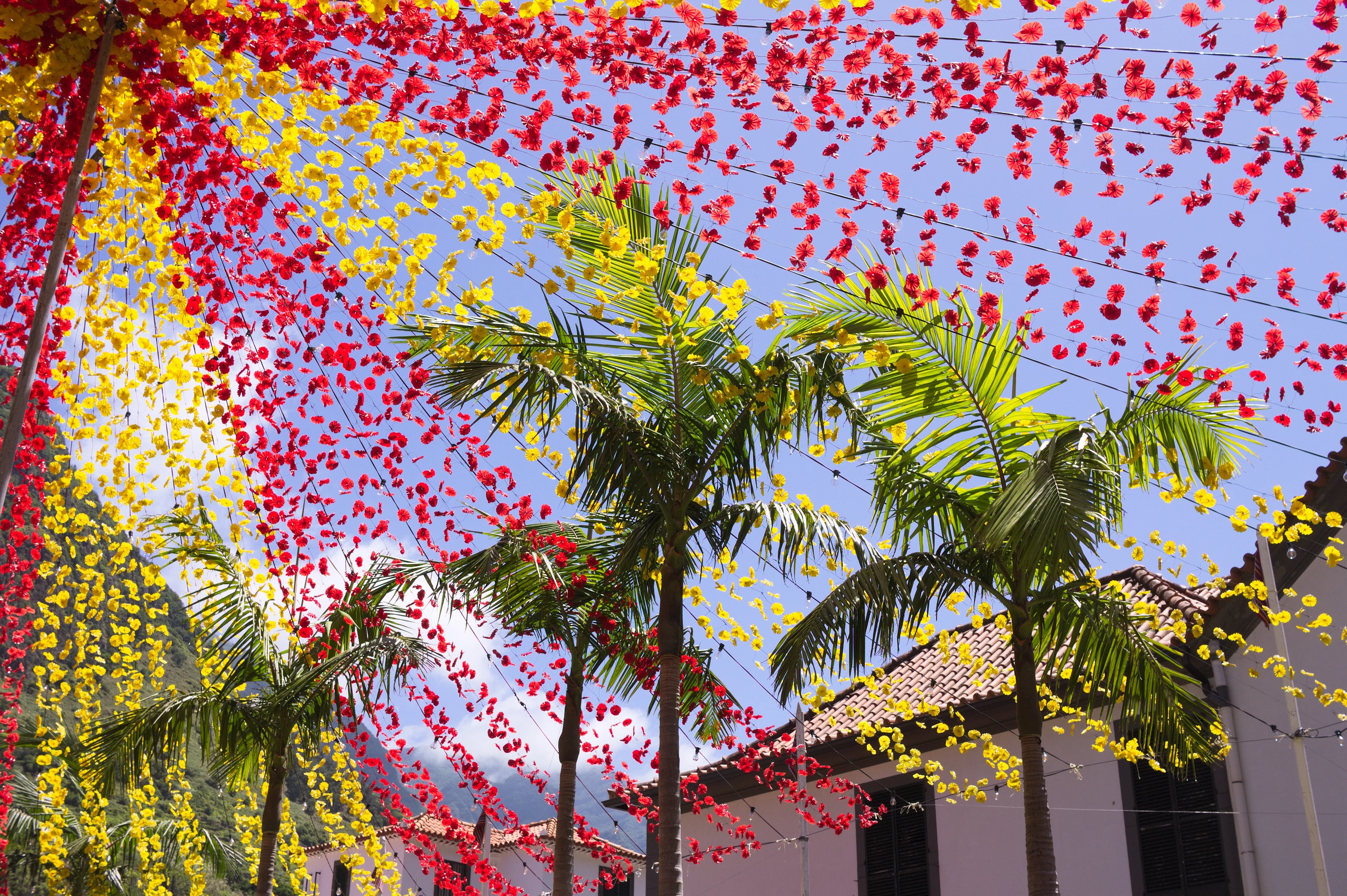 Röda och gula blomsterdekorationer över en gata under Madeiras blomsterfestival