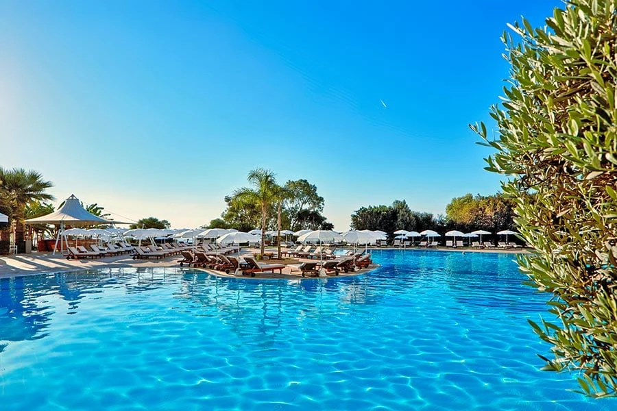 kypros fig tree bay hotell greece park pool