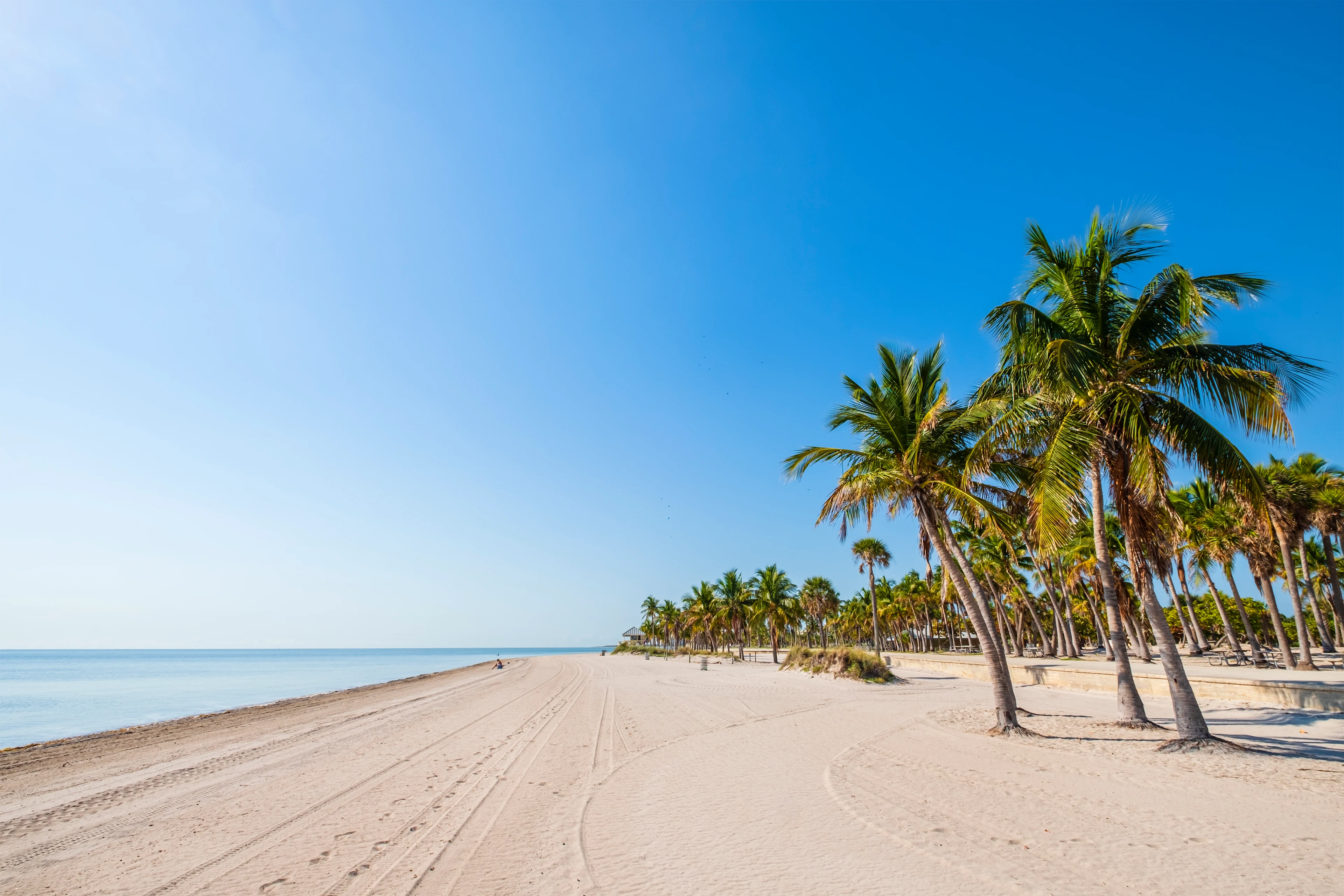 Key Biscayne: palmujen reunustama ranta merinäköalalla Miamin eteläpuolella.
