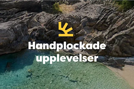 Handplockade upplevelser