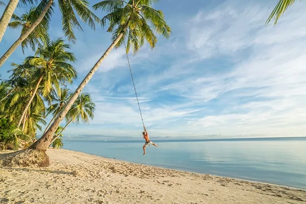 En man svingar sig i en lina på en palm vid stranden
