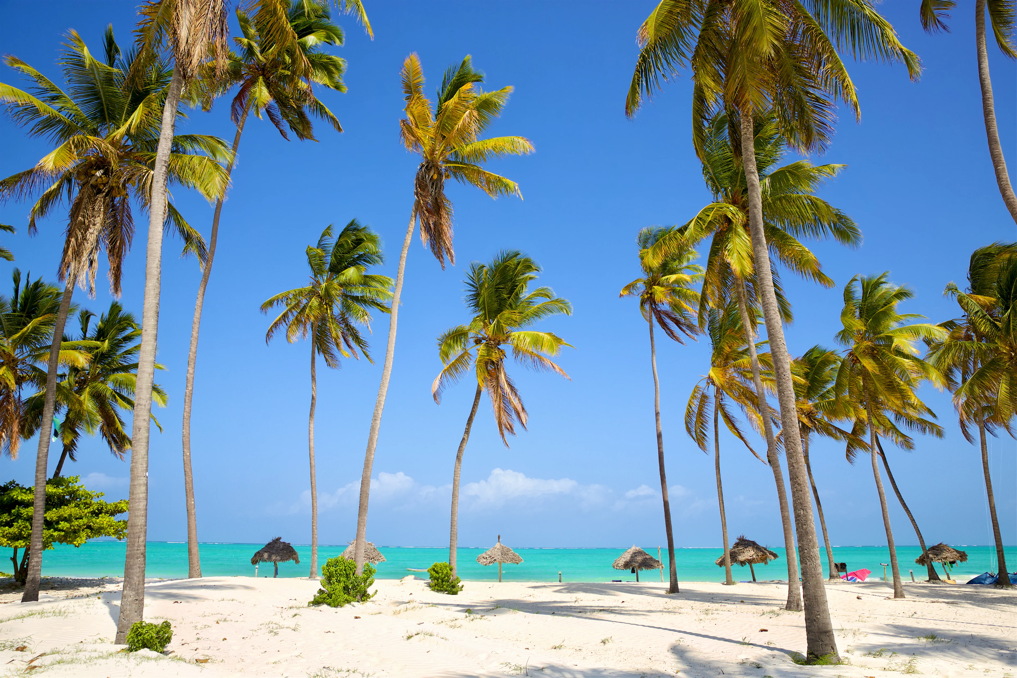 En smuk strand på Zanzibar med hvide sandstrande og turkisblåt vand. Høje palmer strækker sig mod den klare blå himmel. Adskillige små hytter med stråtag ligger spredt på stranden.
