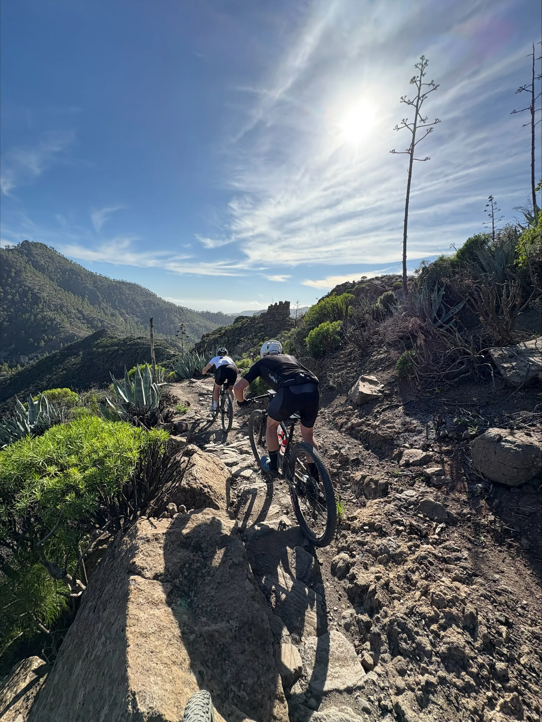 Två cyklister tar sig uppför en stenig bergsstig omgiven av grön vegetation, med klar himmel och sol ovanför