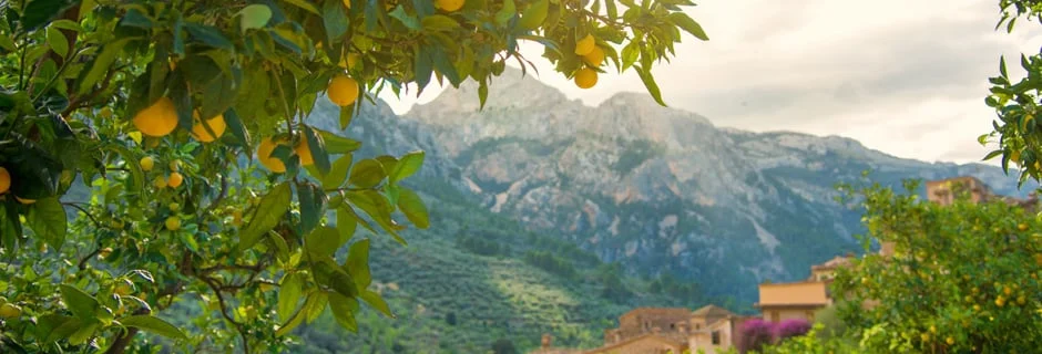 espanja-mallorca-fornalutx