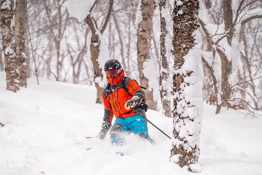 Treeriding i Japan