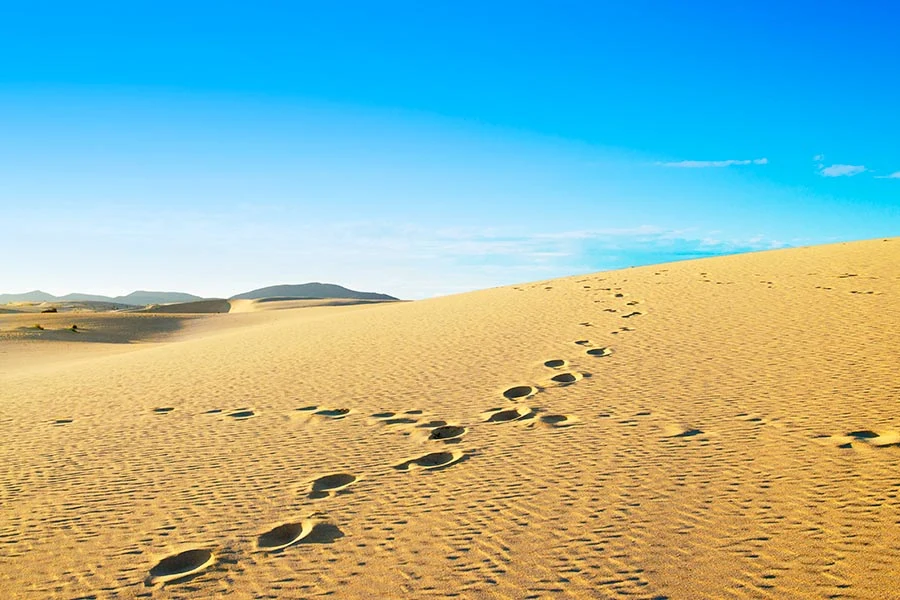 De duinen van Fuerteventura