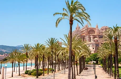 Palma