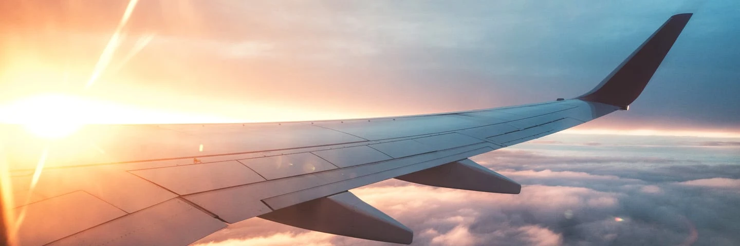 fly