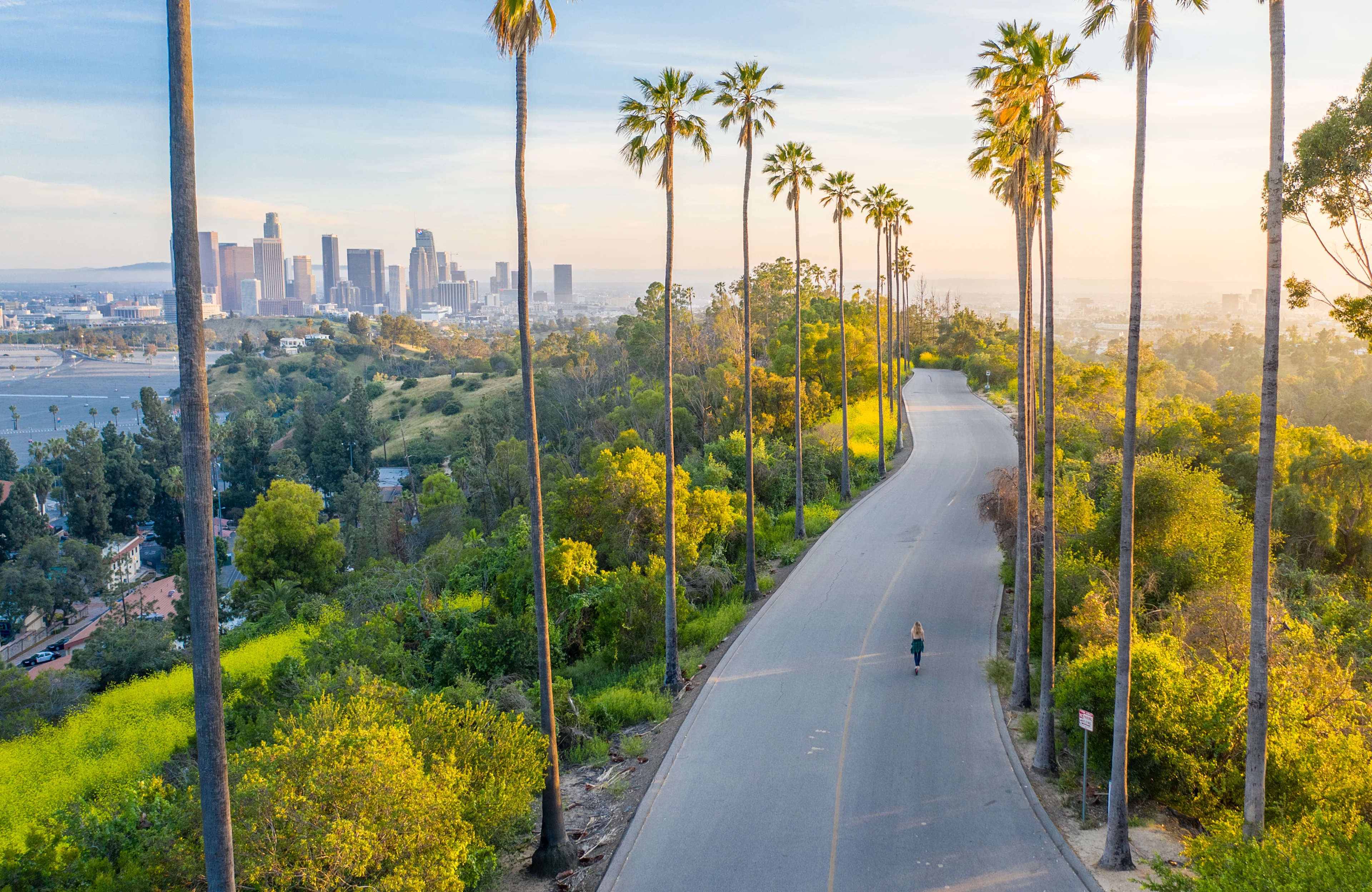 Palmkantad väg i Elysian Park med utsikt över Downtown Los Angeles skyline.