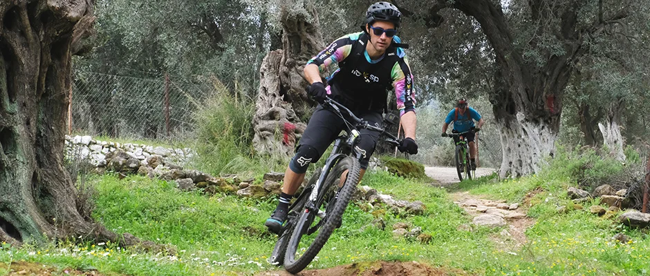 Cyklister i skog