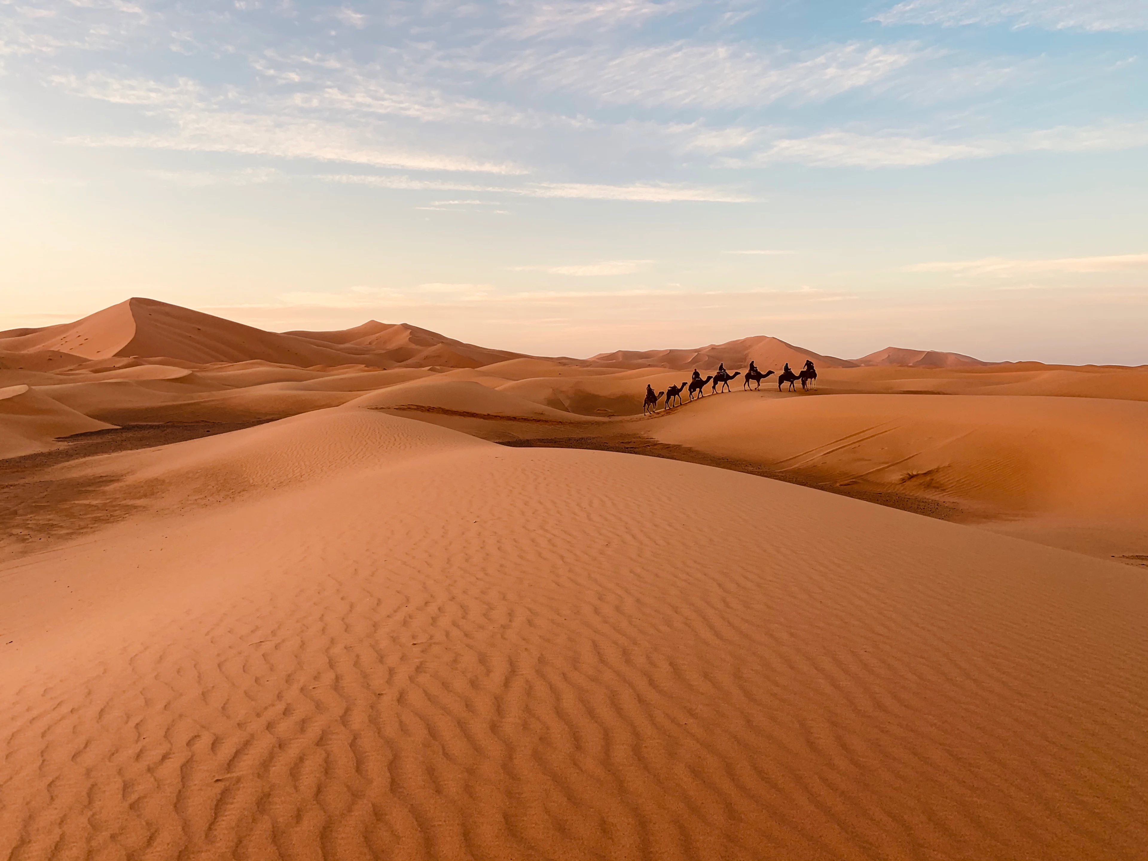 Foto över öknen i Marocko