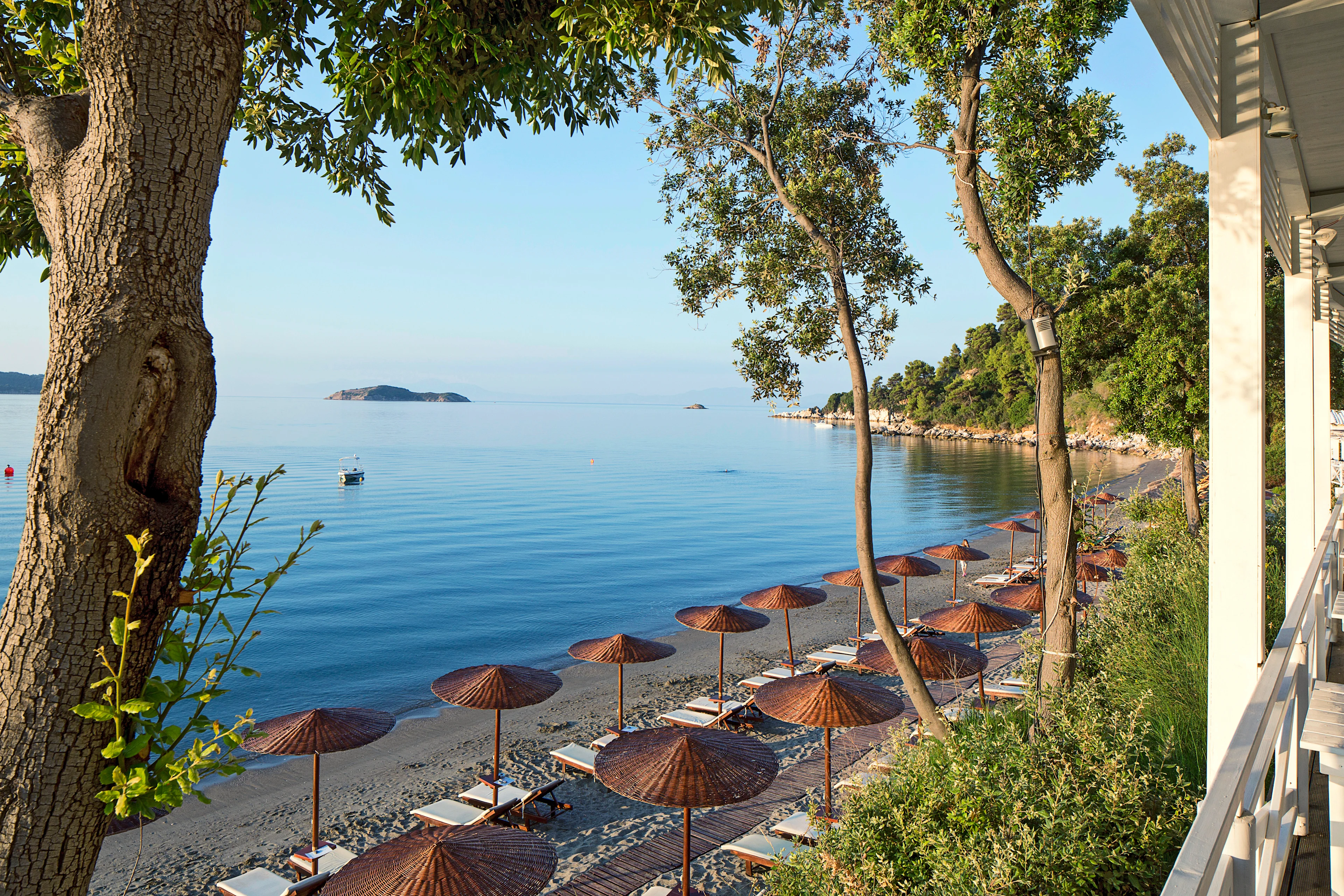 Hav strand och träd på Skiathos