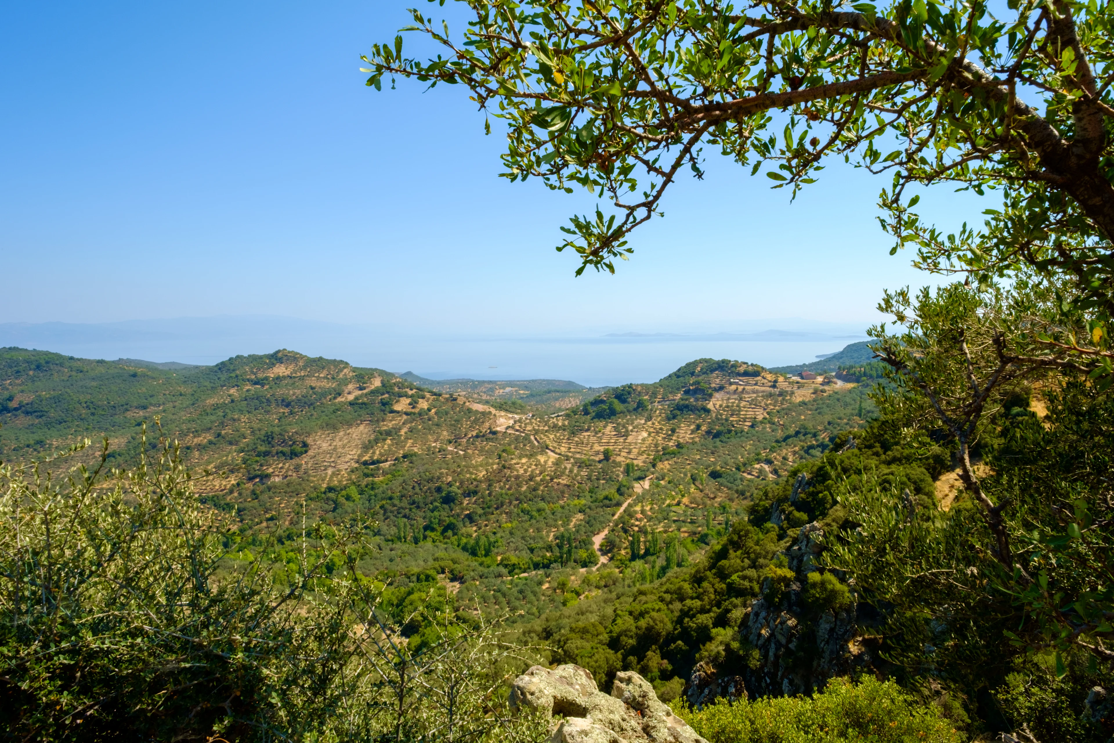 Vakker utsikt over Lesvos natur