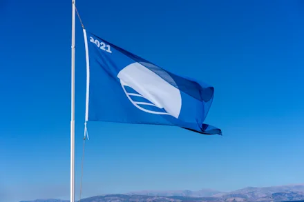 Blue Flag